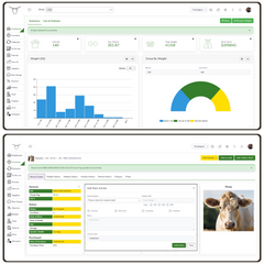 Mini EID Tag Reader - Cloud software