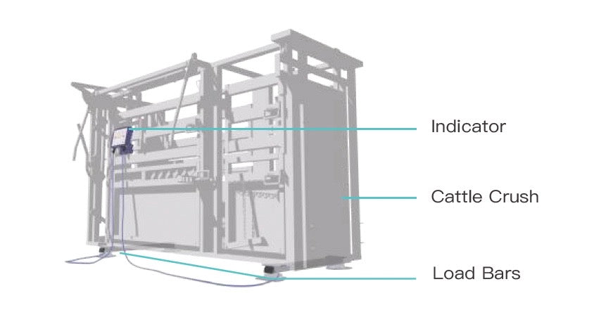 5T Extreme Duty BT Load Bars