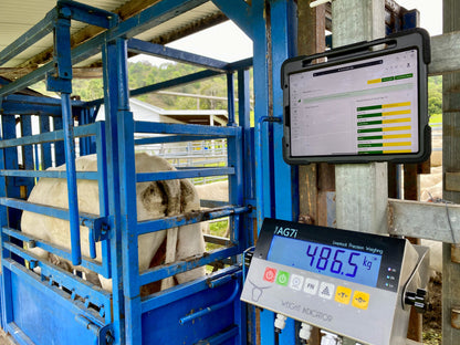 Heavy Duty Load Bars