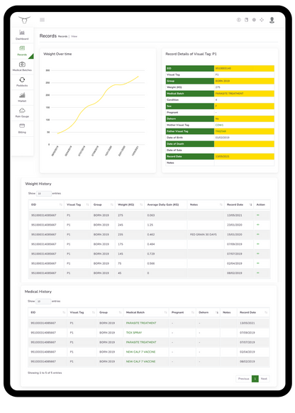 Heavy Duty Load Bars