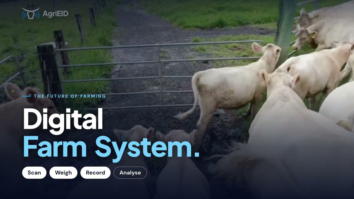 How it works in the handling pens